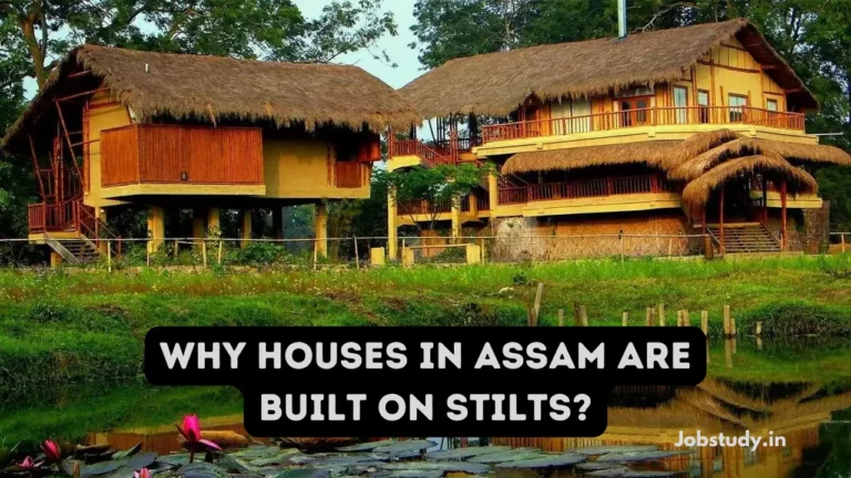 Why Houses in Assam are Built on Stilts