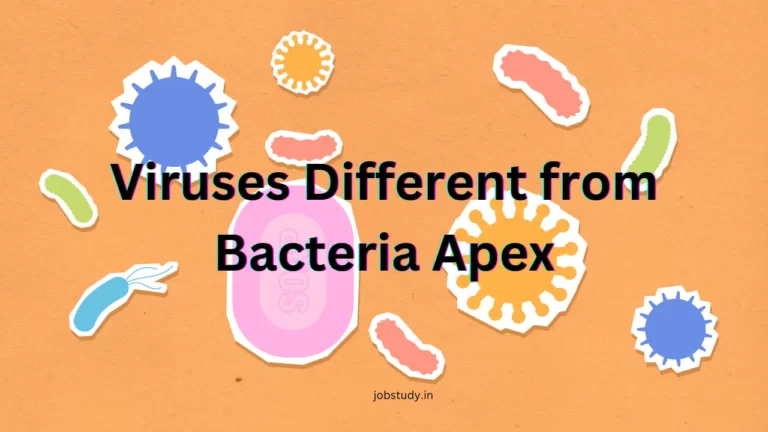 How Are Viruses Different from Bacteria Apex: Unveiling the Distinctive Features